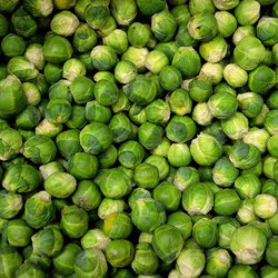 brussels-sprouts-22009_1280.jpg