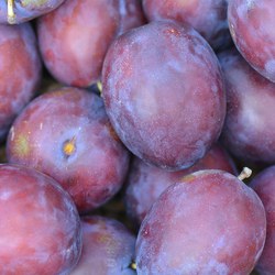plums-472950_1280.jpg