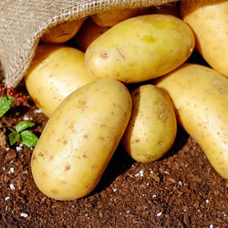 potatoes-1585075_1280.jpg