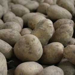 potatoes-965508_1280.jpg