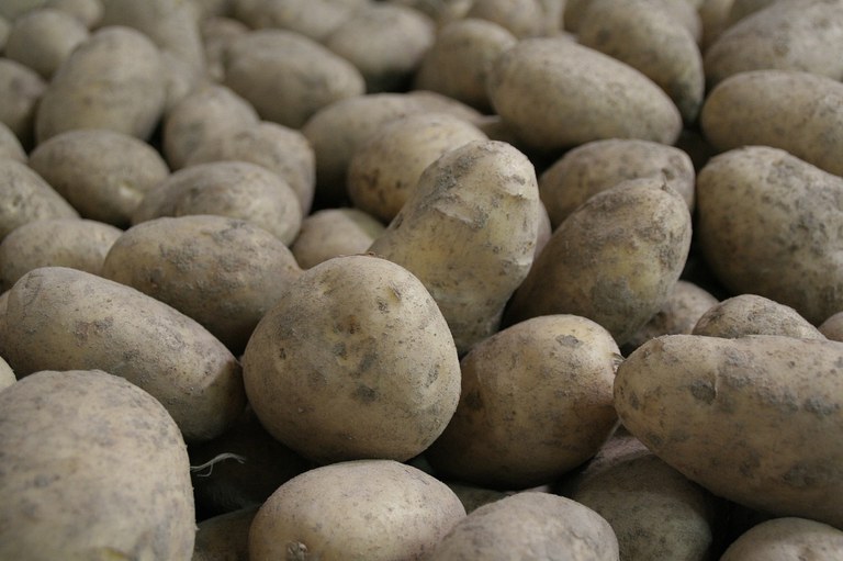 potatoes-965508_1280.jpg