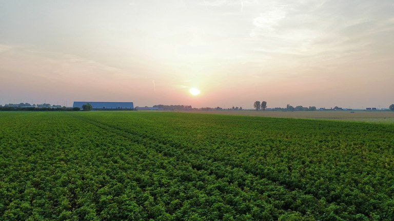 Aardappelhandel de Vries - 11.jpg