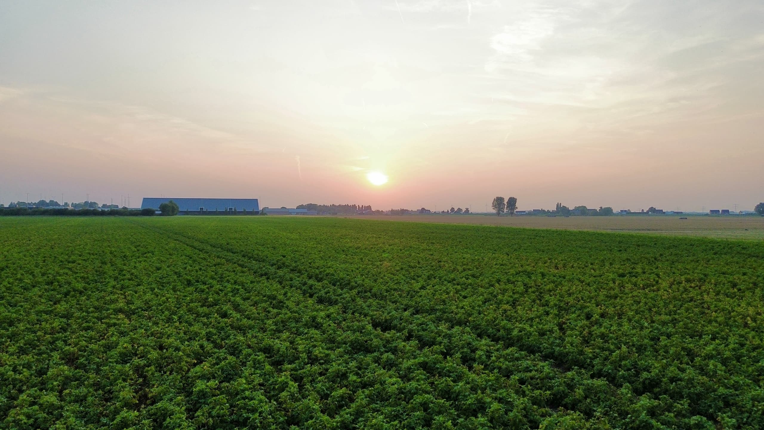 Aardappelhandel de Vries - 11.jpg