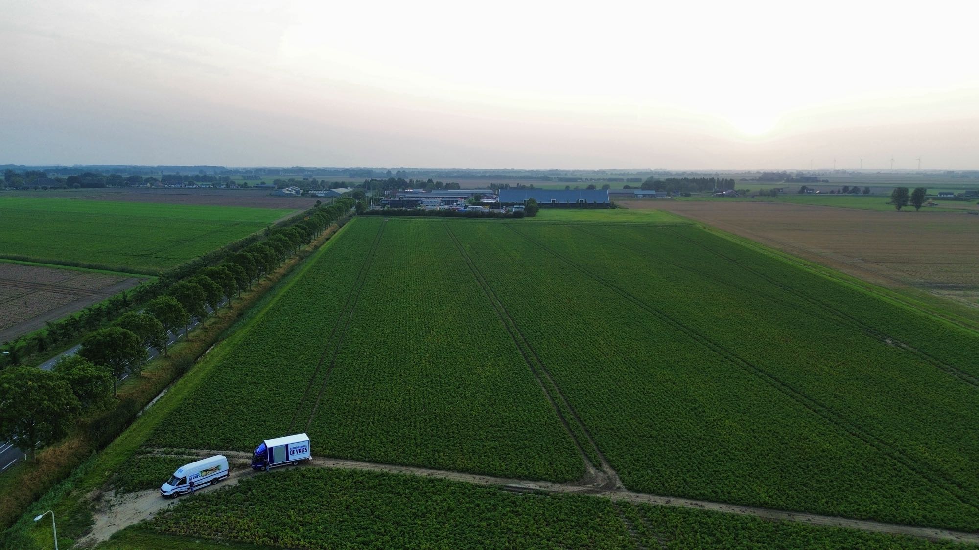 aardappelhandel_de_vriesd 9.jpg aardappelhandel_de_vriesd 9.jpg